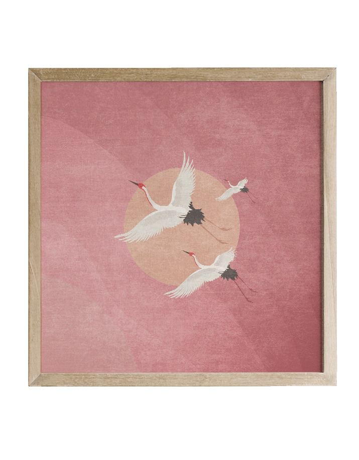 grullas-manchuria-marco-marron