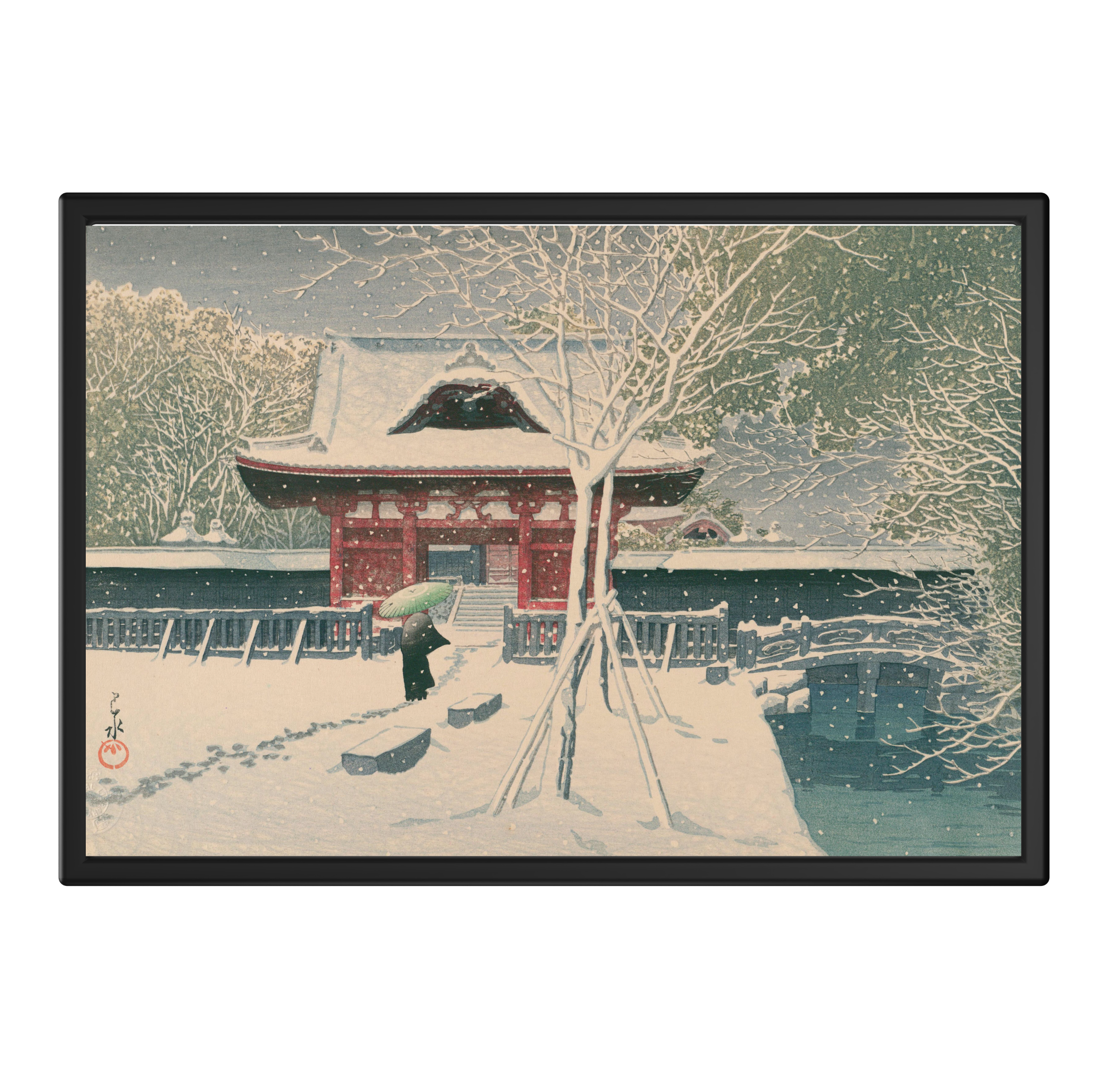 Nieve Hasui Negro