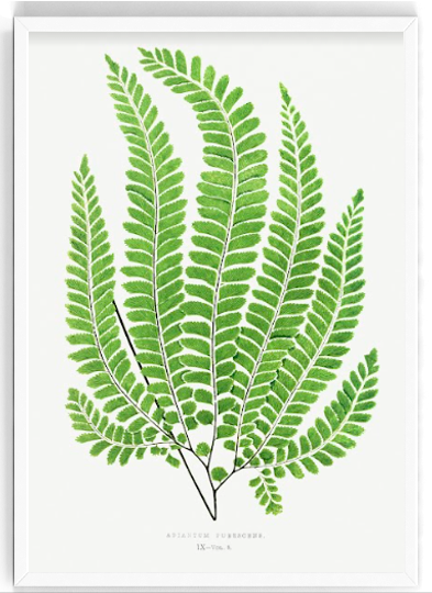 Screen Shot 2022-09-01 at 4.30.17 PM