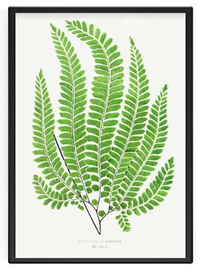 Screen Shot 2022-09-01 at 4.30.35 PM