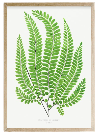 Screen Shot 2022-09-01 at 4.30.54 PM