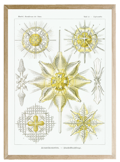 Screen Shot 2022-09-15 at 1.25.48 PM